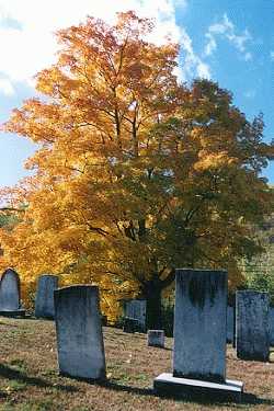 Northville Cemetery