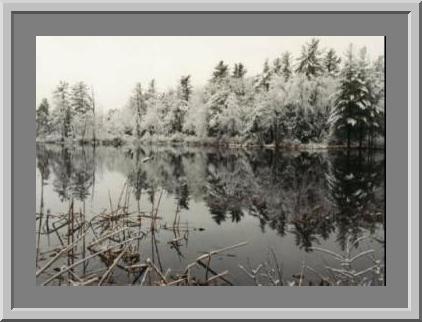 Photo, Duck Pond, Winter